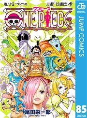 dq - ONE PIECE mN 85 / chY