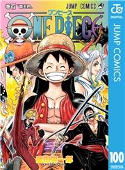 dq - ONE PIECE mN 100 / chY