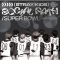 Stray Kids̋/VO - Social Path (Instrumental) feat. LiSA